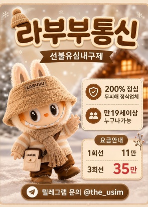 내구제급전the_usim.jpg